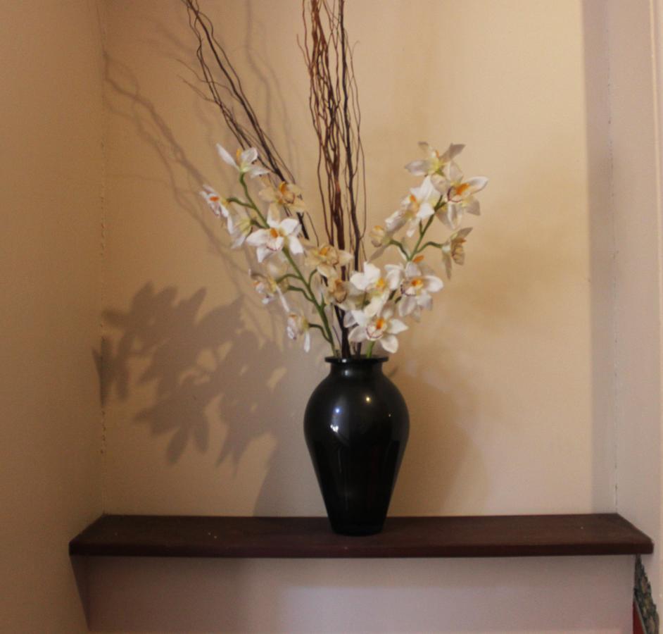 Burwood Bed And Breakfast Sydney Zewnętrze zdjęcie