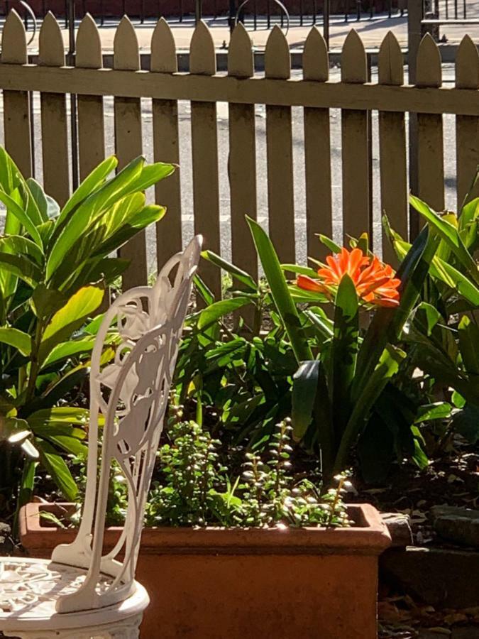 Burwood Bed And Breakfast Sydney Zewnętrze zdjęcie